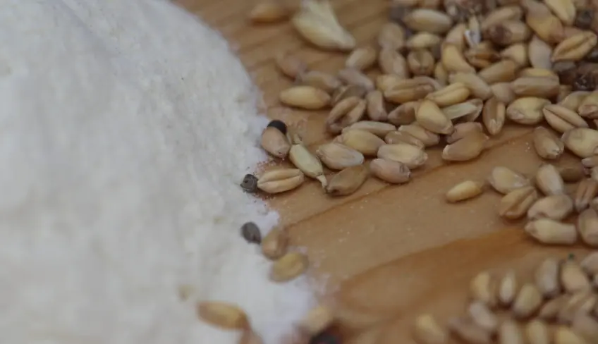pane e degustazione fattoria