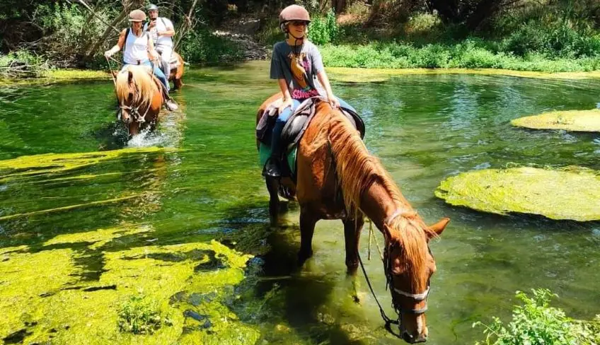 horseback riding