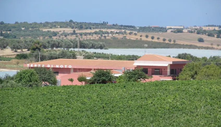 degustazione vini noto-cosa visitare a noto-cosa fare a noto