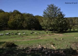 Corriere informazioni